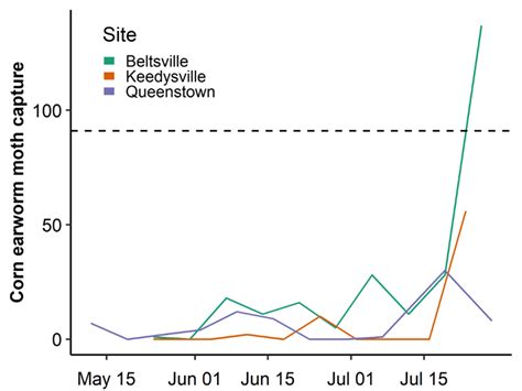 Corn Earworm Trap Captures Up And New Web Page For Updates Maryland Agronomy News