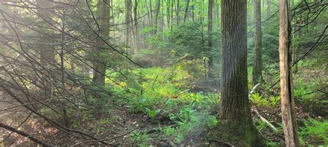 Camping & Hiking along the Appalachian Trail : r/camping