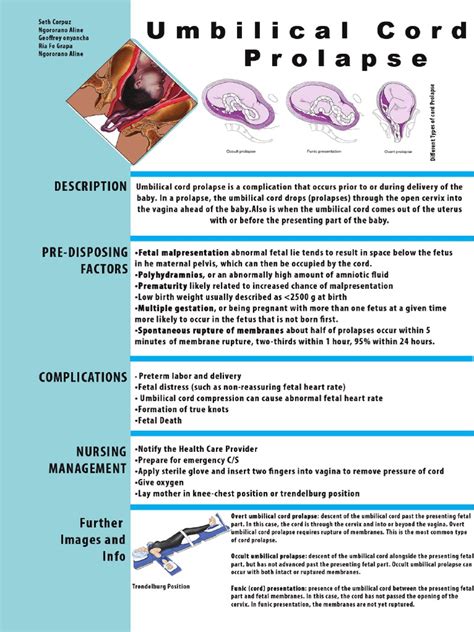 Umbilical Cord Prolapse | PDF