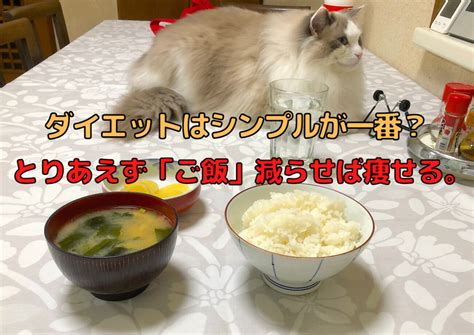 ダイエットは「ご飯の量を減らす」のが一番シンプルでわかりやすい