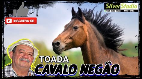 Z De Almeida Toada Cavalo Neg O Youtube