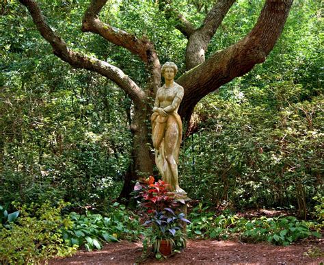 Free Images Tree Branch Woman Flower Trunk Monument Statue