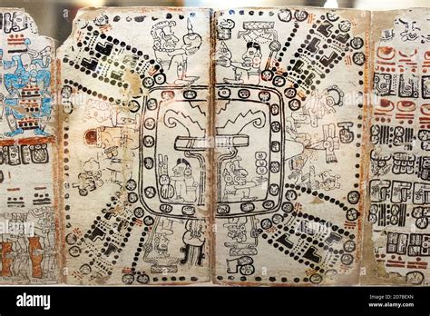 Codex Tro Cortesianus Maya Hi Res Stock Photography And Images Alamy