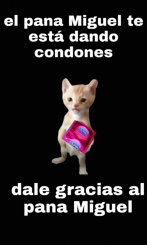 Memes de el pana Miguel Memes Imágenes random Cats