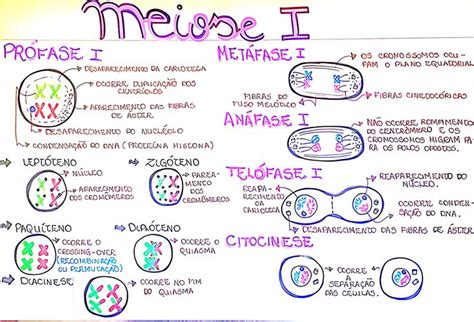 A Hand Drawn Diagram Shows The Steps In How To Use Merise I For Language