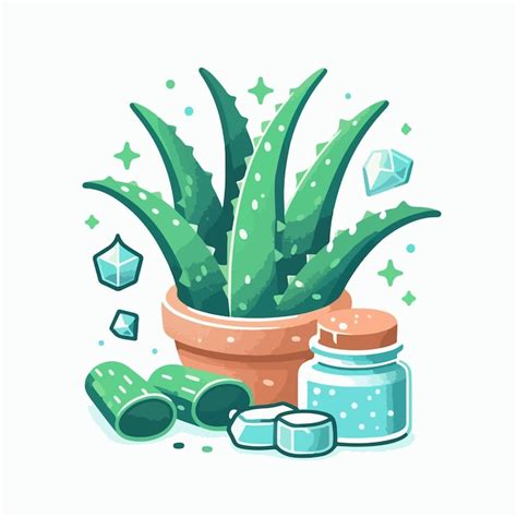 Le Médicament à Base De Plantes Herbal Aloe Vera Plant Medicine Flat