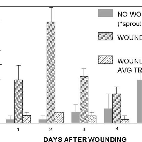 The Effect Of Wounding And AVG Treatment 100 M Aqueous On Tuber