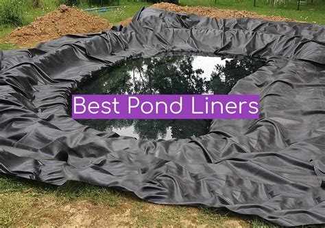 Top 5 Best Pond Liners [2022 Review] - WindChimesGuide