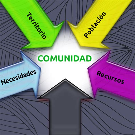 Comunidad Y Sus Elementos Modulo