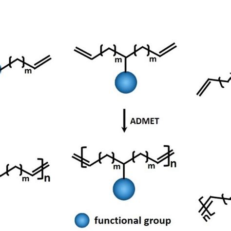 Typical Structures Of Schrock And Grubbs Catalysts Used In ADMET