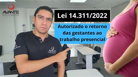 Lei 14 311 2022 Autorizado O Retorno Das Empregadas Gestantes Ao