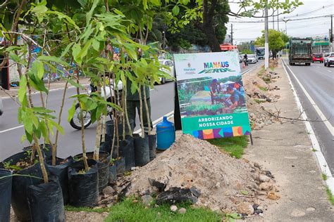 Manaus Receber Plantio De Mil Mudas Em Como Parte Do Plano De