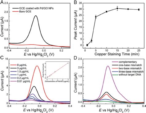 A DPV Response Curves Of Both The Bare GCE And The GCE With Its