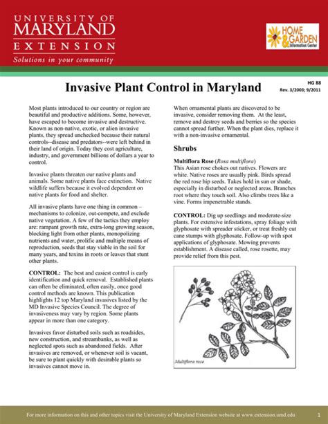 Invasive Plant Control In Maryland