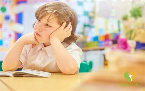 What Is Demand Avoidance In Autism