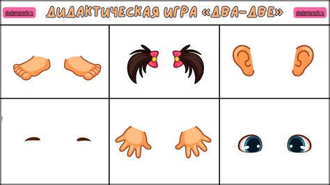 Дидактическая игра «Два-две»: цель, задачи