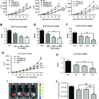 A Combination Of Aa And Ng Produces A Better Inhibitory Effect On Tumor