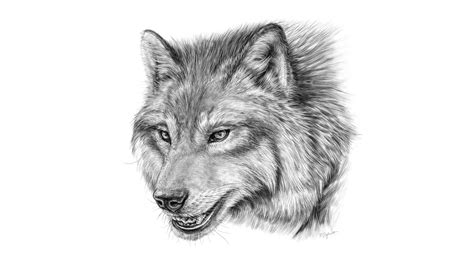 Dire Wolf Species