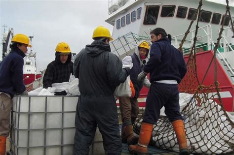 Pesca Ilegal En Malvinas España Acuerda Con El Gobierno De Ocupación