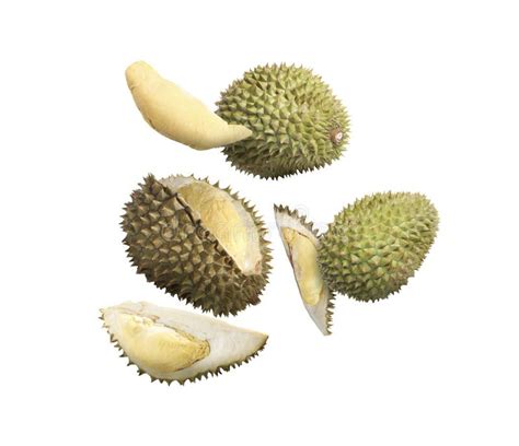 Many Ripe Durian Fruits Falling On White Background Stock Photo Image