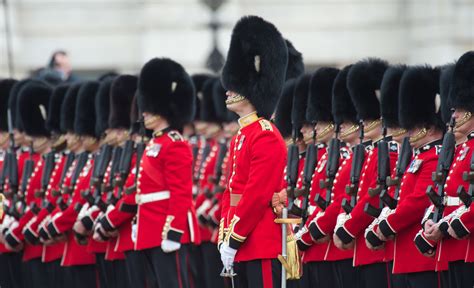 Royal Guardsman Begs Government To Ditch Cruel Bear Fur Hats