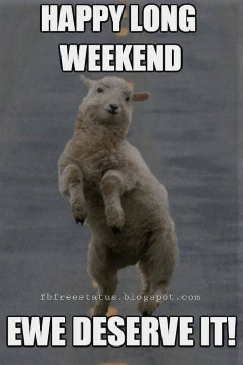 Long Weekend Over Meme - img-gimcrackery