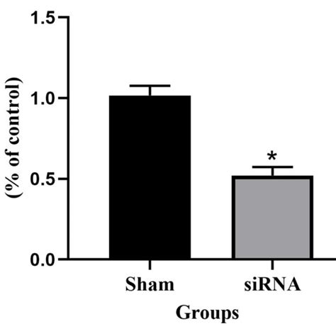 The Expression Level Of JNK2 MRNA After SiRNA Transfection For 48 H