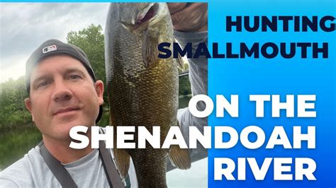 Smallmouth Bass Fishing On The Shenandoah River South Fork Youtube