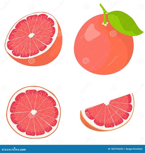 Pomelo Entero Y En Rodajas Ilustración del Vector Ilustración de