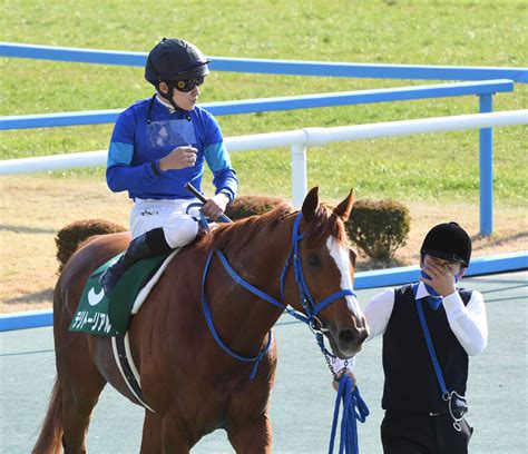 今年のgⅢ小倉大賞典勝ち馬テリトーリアルが引退→乗馬に 競馬ニュース・特集なら東スポ競馬