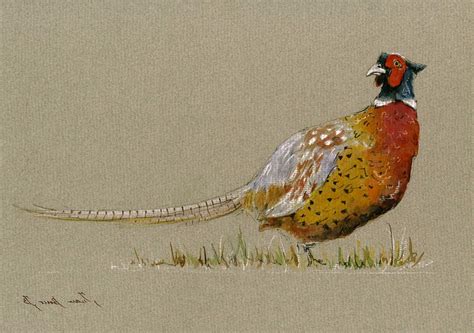 Pheasant Painting for sale in UK | 3 used Pheasant Paintings