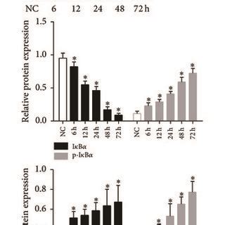 High Glucose Induces The Activation Of Nf B Signaling And Release Of