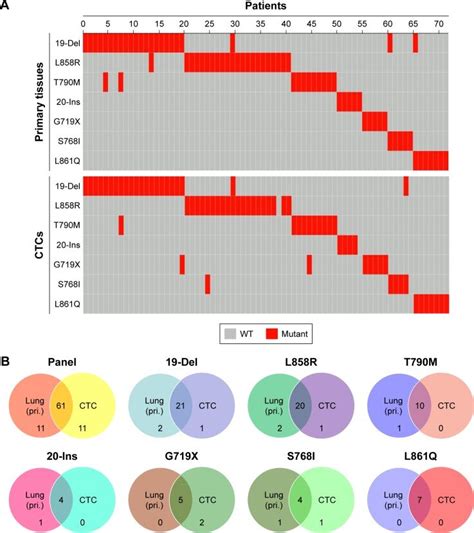 EGFR L858R Exon 21 And T790M Exon 20 Sequencing Of Primary Tissues