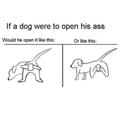 If A Dog Wore Pants Meme Tumblr