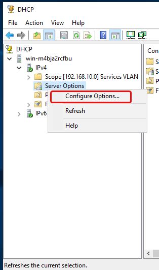 How To Configure Dhcp For Multiple Vlans With Opnsense And Windows