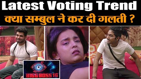 Bigg Boss Latest Voting Trend Sumbul Shiv