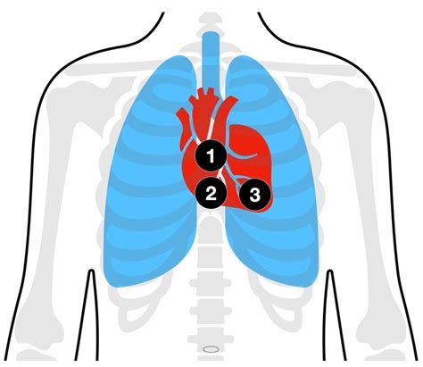 Jcm Free Full Text Advanced And Invasive Cardiopulmonary