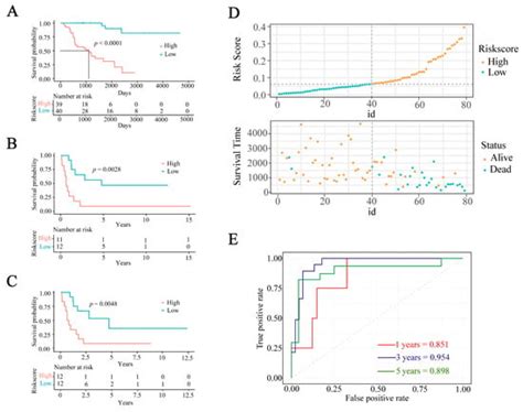 Ijms Free Full Text Identification Of Molecular Subtypes And