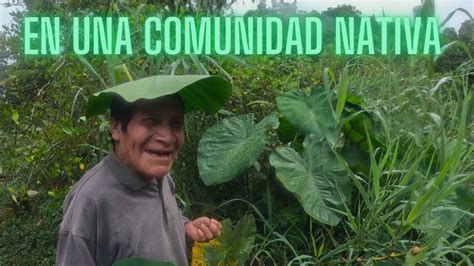 Llegamos A Una Comunidad Nativa En La Selva Peruana Youtube