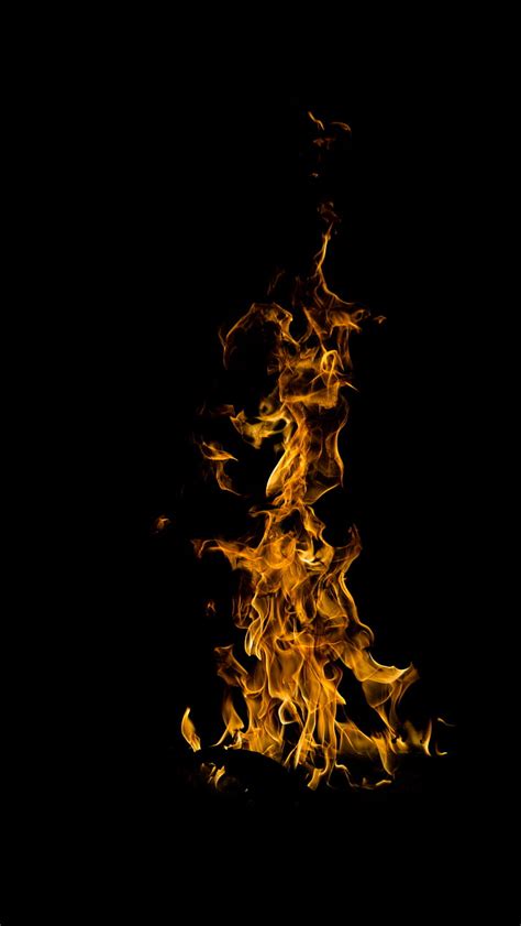 2560x1440px | free download | HD wallpaper: fire, bonfire, flame, burn, night, dark | Wallpaper ...