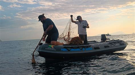 Rimossa Una Rete Da Pesca Abusiva Di 450 Metri Dall Area Protetta Della