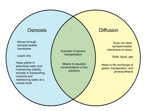 8 Diferencia importante entre difusión y ósmosis Ieb Barceloneta