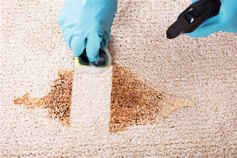 How To Get Coffee Stains Out Of Carpet Checkatrade