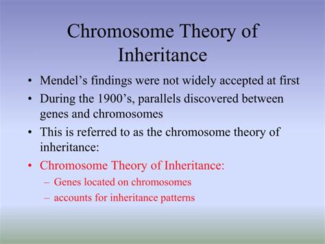 Ppt Chromosome Theory Of Inheritance Powerpoint | The Best Porn Website