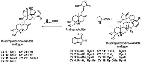 Structure Of Andrographolide And Its Derivatives Download Scientific Diagram