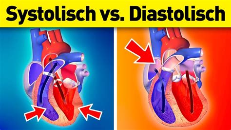 Systolischer Vs Diastolischer Blutdruck Was Ist Der Unterschied