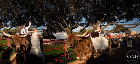 FORT WORTH WEDDING PHOTOGRAPHER | COURTHOUSE WEDDING | JOE T GARCIA ...