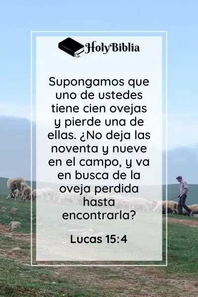 ᐅ Qué Significa La Parábola De La Oveja Perdida 【holybiblia】