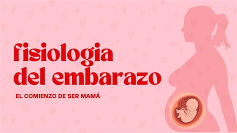 Fisiolog A Del Embarazo Leimy Espejo Udocz