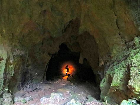 Mount Tamana Bat Caves Destination Trinidad And Tobago Tours